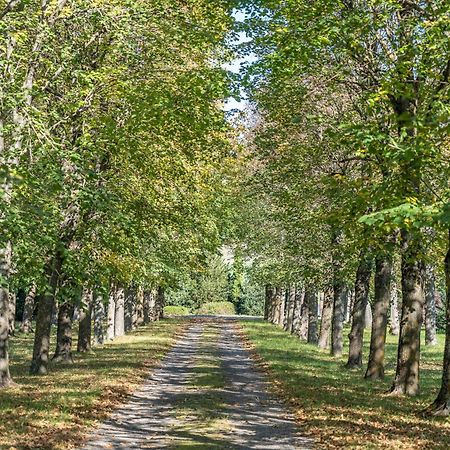 Chateau Du Chambon Cerzat Eksteriør bilde