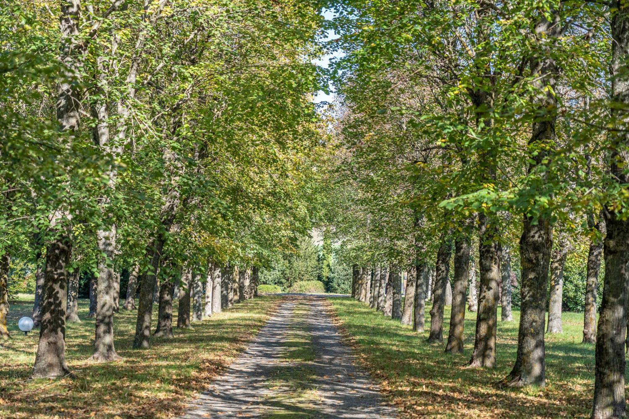 Chateau Du Chambon Cerzat Eksteriør bilde